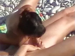 lindo asiático adole ...